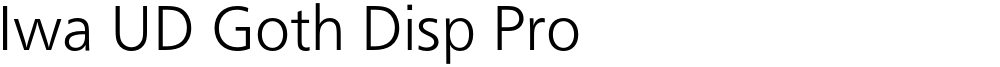 Iwa UD Goth Disp Pro