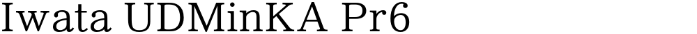 Iwata UDMinKA Pr6