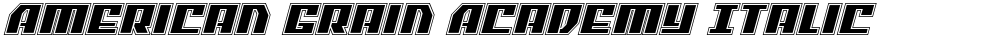 American Grain Academy Italic