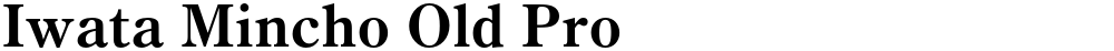 Iwata Mincho Old Pro