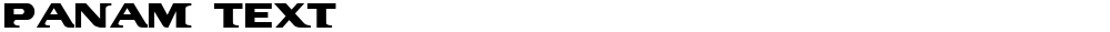 PanAm Text