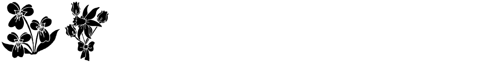 dt