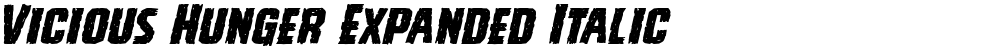Vicious Hunger Expanded Italic