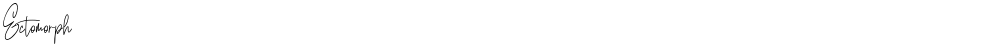 Ectomorph