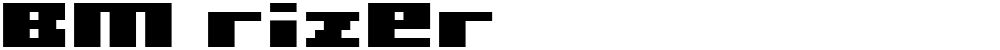 BM rizer