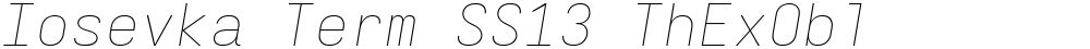 Iosevka Term SS13 ThExObl