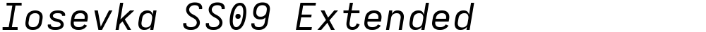 Iosevka SS09 Extended