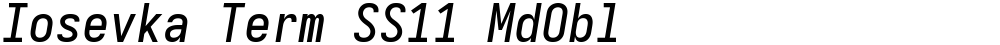 Iosevka Term SS11 MdObl