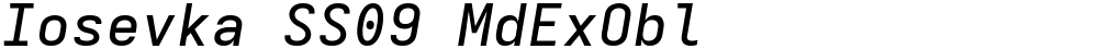 Iosevka SS09 MdExObl