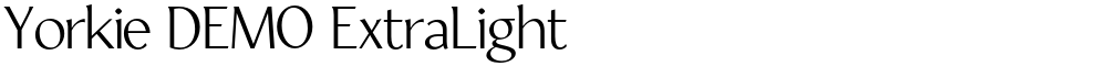 Yorkie DEMO ExtraLight