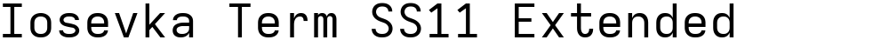 Iosevka Term SS11 Extended