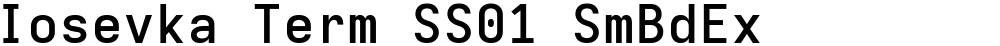 Iosevka Term SS01 SmBdEx