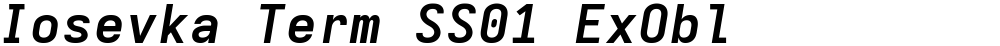 Iosevka Term SS01 ExObl