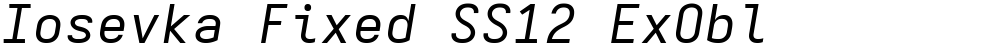 Iosevka Fixed SS12 ExObl