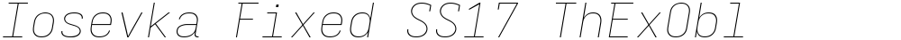 Iosevka Fixed SS17 ThExObl