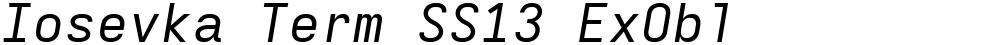 Iosevka Term SS13 ExObl