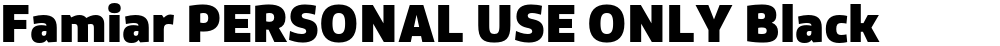 Famiar PERSONAL USE ONLY Black