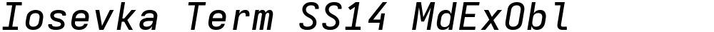 Iosevka Term SS14 MdExObl