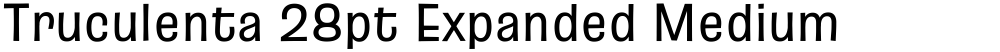 Truculenta 28pt Expanded Medium