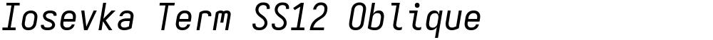 Iosevka Term SS12 Oblique