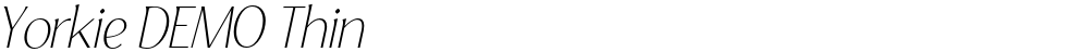 Yorkie DEMO Thin