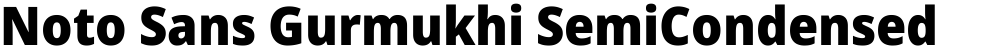 Noto Sans Gurmukhi SemiCondensed Black