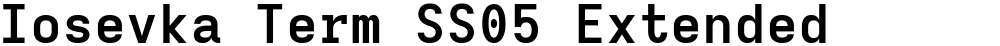 Iosevka Term SS05 Extended