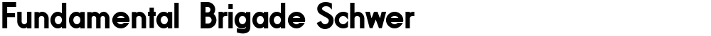 Fundamental  Brigade Schwer