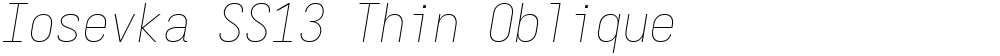 Iosevka SS13 Thin Oblique