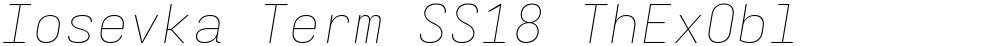 Iosevka Term SS18 ThExObl