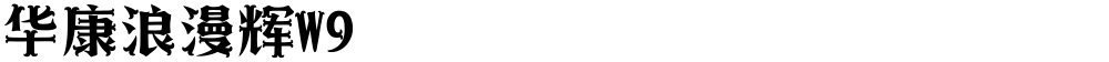 华康浪漫辉W9