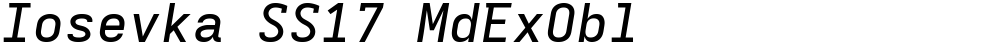 Iosevka SS17 MdExObl