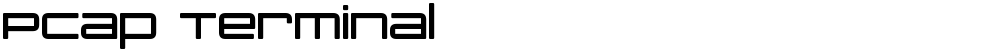 PCap Terminal