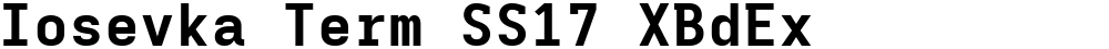Iosevka Term SS17 XBdEx