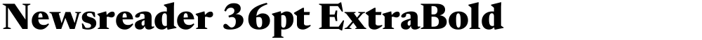 Newsreader 36pt ExtraBold