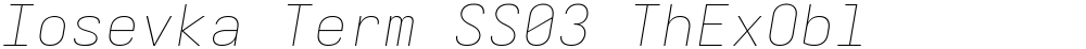 Iosevka Term SS03 ThExObl