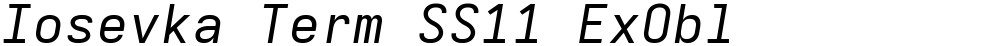 Iosevka Term SS11 ExObl