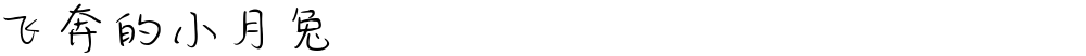 飞奔的小月兔