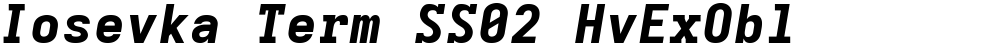 Iosevka Term SS02 HvExObl