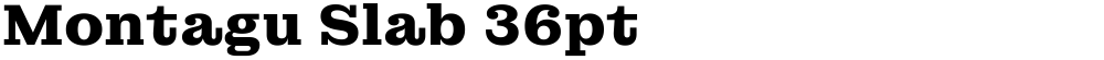 Montagu Slab 36pt