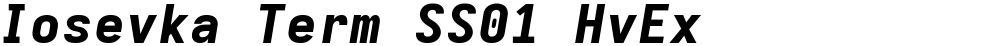 Iosevka Term SS01 HvEx