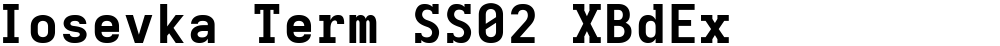 Iosevka Term SS02 XBdEx