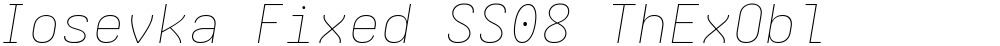 Iosevka Fixed SS08 ThExObl