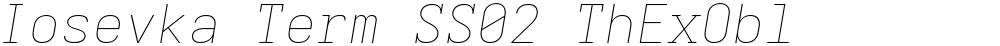 Iosevka Term SS02 ThExObl