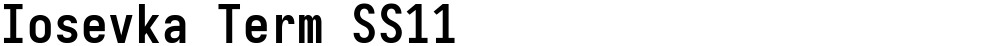 Iosevka Term SS11