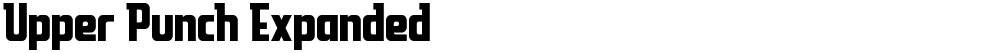 Upper Punch Expanded