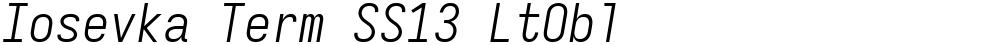 Iosevka Term SS13 LtObl