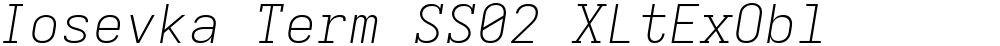 Iosevka Term SS02 XLtExObl