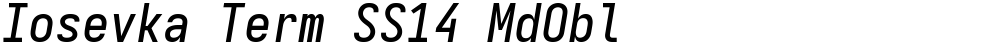 Iosevka Term SS14 MdObl