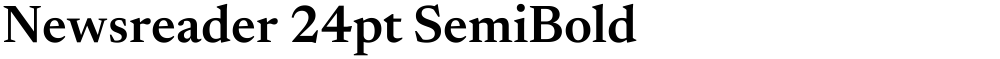 Newsreader 24pt SemiBold